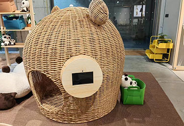 Children’s clothing Display Point